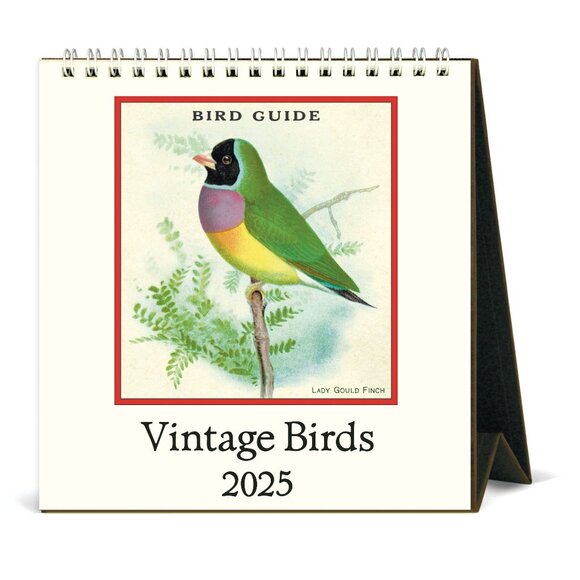 Cavallini & Co. Vintage Birds 2025 Easel Desk Calendar, 6.5"x6.5" - Picture 1 of 5